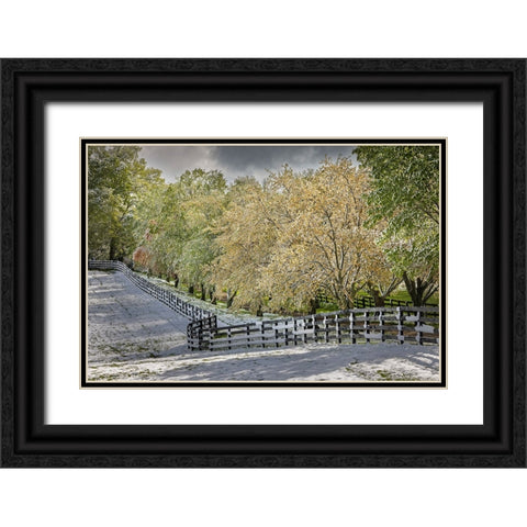 Light snow on trees in early spring-Louisville-Kentucky Black Ornate Wood Framed Art Print with Double Matting by Jones, Adam