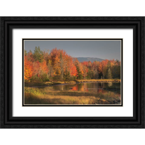 USA-Maine-Acadia National Park Black Ornate Wood Framed Art Print with Double Matting by Jaynes Gallery