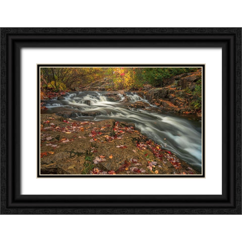 USA-Maine-Acadia National Park Stream rapids in forest Black Ornate Wood Framed Art Print with Double Matting by Jaynes Gallery