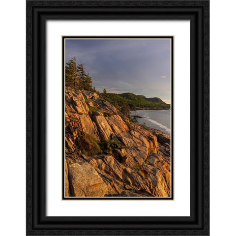 Otter Cliffs at sunrise in Acadia National Park-Maine-USA Black Ornate Wood Framed Art Print with Double Matting by Haney, Chuck