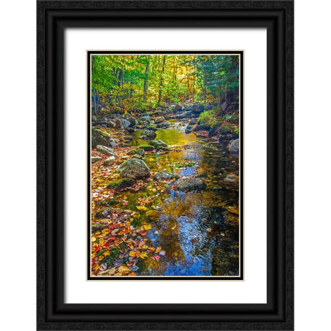 USA-New England-Maine Autumn and stream just off of Wild River Road Black Ornate Wood Framed Art Print with Double Matting by Gulin, Sylvia