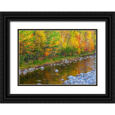 USA-New England-Maine-Wild River-reflections of Autumn colors in small river Black Ornate Wood Framed Art Print with Double Matting by Gulin, Sylvia