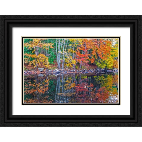 USA-New England-Maine-Lake with Fall colors reflected in calm water Black Ornate Wood Framed Art Print with Double Matting by Gulin, Sylvia