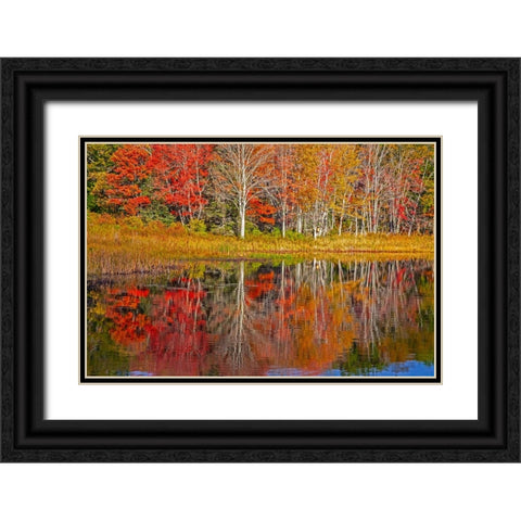 USA-New England-Maine-Lake with Fall colors reflected in calm water Black Ornate Wood Framed Art Print with Double Matting by Gulin, Sylvia
