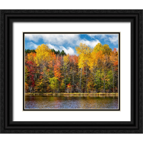 USA-Michigan-Upper Peninsula-Munising Autumn trees at Thornton Lake Black Ornate Wood Framed Art Print with Double Matting by Collins, Ann