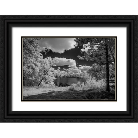 USA-Minnesota-La Salle State Recreation area Black Ornate Wood Framed Art Print with Double Matting by Hawkins, Peter