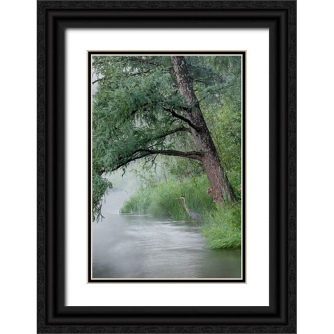 USA-Minnesota-Itasca State Park-Mississippi Headwaters Black Ornate Wood Framed Art Print with Double Matting by Hawkins, Peter