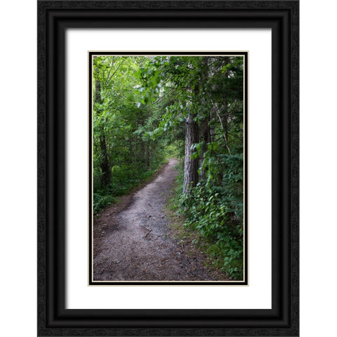 USA-Minnesota-La Salle State Recreation Area Black Ornate Wood Framed Art Print with Double Matting by Hawkins, Peter