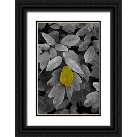 USA-Minnsota-Duluth-Fall Color Black Ornate Wood Framed Art Print with Double Matting by Hawkins, Peter