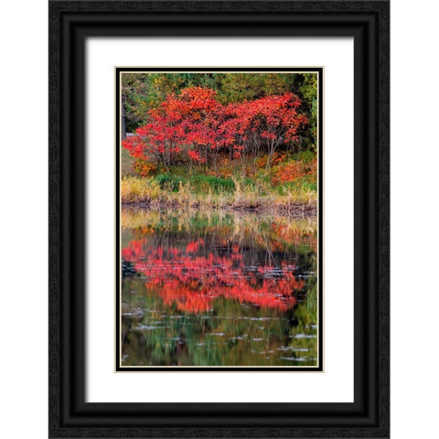 USA-Minnsota-Duluth-Fall Color Black Ornate Wood Framed Art Print with Double Matting by Hawkins, Peter
