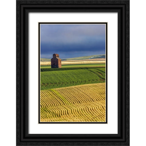 Old wooden granary in Collins-Montana-USA Black Ornate Wood Framed Art Print with Double Matting by Haney, Chuck