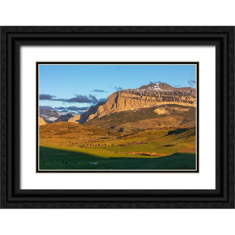 Cattle pastures below Walling Reef at sunrise near Dupuyer-Montana-USA Black Ornate Wood Framed Art Print with Double Matting by Haney, Chuck