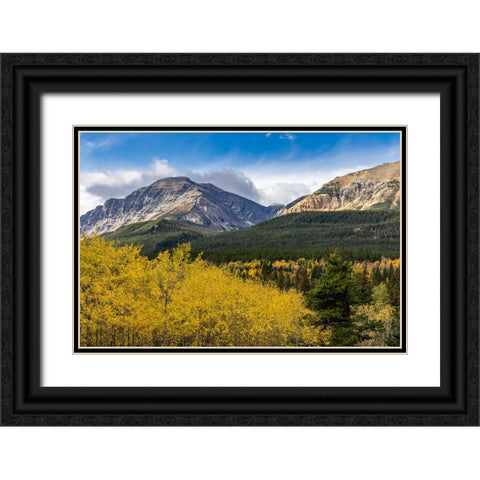 Autumn aspen grove with Bear Mountain in Glacier National Park-Montana-USA Black Ornate Wood Framed Art Print with Double Matting by Haney, Chuck