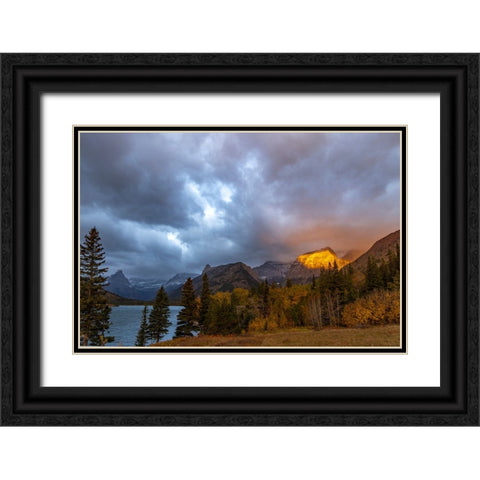 Shoulder of Mount Cleveland bathed in golden sunrise light in Glacier National Park-Montana-USA Black Ornate Wood Framed Art Print with Double Matting by Haney, Chuck
