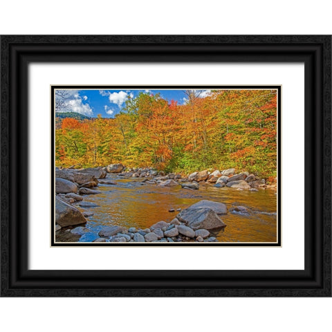 USA-New Hampshire-White Mountains National Forest and Swift River along Highway 112 in Autumn from  Black Ornate Wood Framed Art Print with Double Matting by Gulin, Sylvia