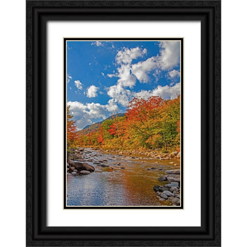 USA-New Hampshire-White Mountains National Forest and Swift River along Highway 112 in Autumn from  Black Ornate Wood Framed Art Print with Double Matting by Gulin, Sylvia