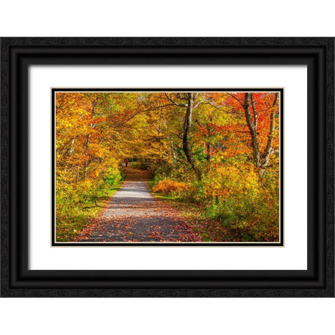 USA-New Hampshire-Franconia-one lane roadway with fallen Autumn leaves and lined with Fall colored  Black Ornate Wood Framed Art Print with Double Matting by Gulin, Sylvia