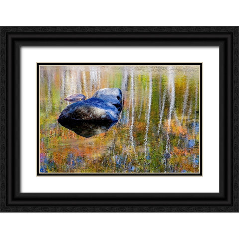 USA-New Hampshire-Gorham Autumn colors reflected in small pond Black Ornate Wood Framed Art Print with Double Matting by Gulin, Sylvia