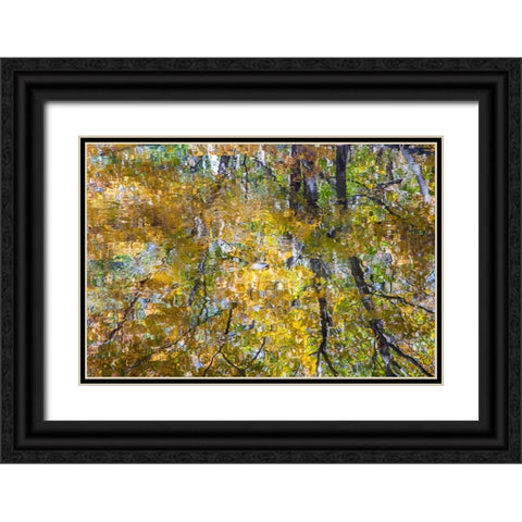 USA-New Hampshire-Gorham Autumn colors reflected in small pond Black Ornate Wood Framed Art Print with Double Matting by Gulin, Sylvia