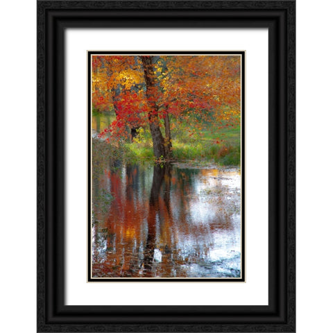 USA-New Hampshire-Jackson-Autumn in New England with Fall Color of Maple Tree reflected in small po Black Ornate Wood Framed Art Print with Double Matting by Gulin, Sylvia