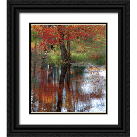 USA-New Hampshire-Jackson-Autumn in New England with Fall Color of Maple Tree reflected in small po Black Ornate Wood Framed Art Print with Double Matting by Gulin, Sylvia