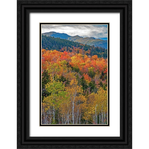 USA-New Hampshire-New England Fall colors on hillsides along highway 16 north of Jackson Black Ornate Wood Framed Art Print with Double Matting by Gulin, Sylvia
