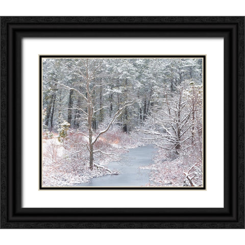 USA-New Jersey-Pine Barrens National Preserve-Winter scenic of stream and forest Black Ornate Wood Framed Art Print with Double Matting by Jaynes Gallery