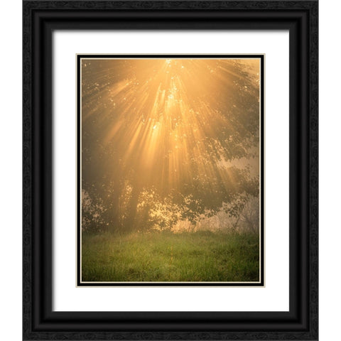 USA-New Jersey-Cape May National Seashore Sunrise sunbeams and tree scenic Black Ornate Wood Framed Art Print with Double Matting by Jaynes Gallery
