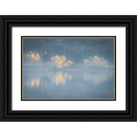 USA-New Jersey-Cape May National Seashore Foggy forest reflections on lake at sunrise Black Ornate Wood Framed Art Print with Double Matting by Jaynes Gallery
