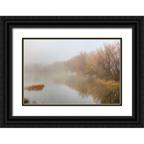 Trees on foggy morning-Bosque del Apache National Wildlife Refuge-New Mexico Black Ornate Wood Framed Art Print with Double Matting by Jones, Adam