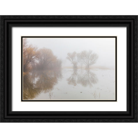 Trees on foggy morning-Bosque del Apache National Wildlife Refuge-New Mexico Black Ornate Wood Framed Art Print with Double Matting by Jones, Adam