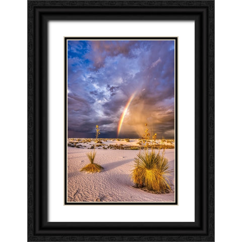 USA-New Mexico-White Sands National Park Thunderstorm rainbow over desert Black Ornate Wood Framed Art Print with Double Matting by Jaynes Gallery