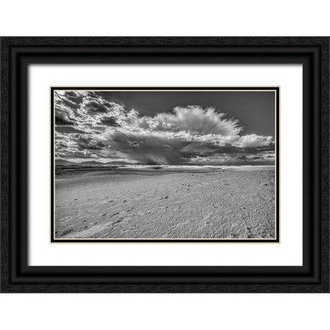 USA- New Mexico- White Sands National Park. Black and white Black Ornate Wood Framed Art Print with Double Matting by Jaynes Gallery