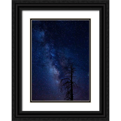 Milky way over the Carson National Forest-Tres Piedras-New Mexico Black Ornate Wood Framed Art Print with Double Matting by Pryor-Luzier, Maresa
