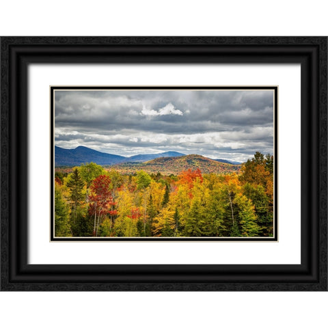 USA-New York-Adirondacks Indian Lake-Fall color at overlook along Route 28 Black Ornate Wood Framed Art Print with Double Matting by Collins, Ann