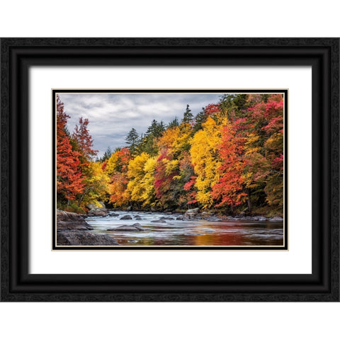 USA-New York-Adirondacks Long Lake-autumn color along the Raquette River Black Ornate Wood Framed Art Print with Double Matting by Collins, Ann