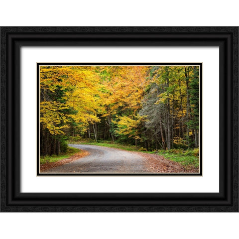 USA-New York-Adirondacks Long Lake-foliage-covered road to Forked Lake Black Ornate Wood Framed Art Print with Double Matting by Collins, Ann