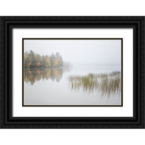 USA-New York-Adirondacks Long Lake-reeds-fog-and fall foliage at Eaton Lake Black Ornate Wood Framed Art Print with Double Matting by Collins, Ann