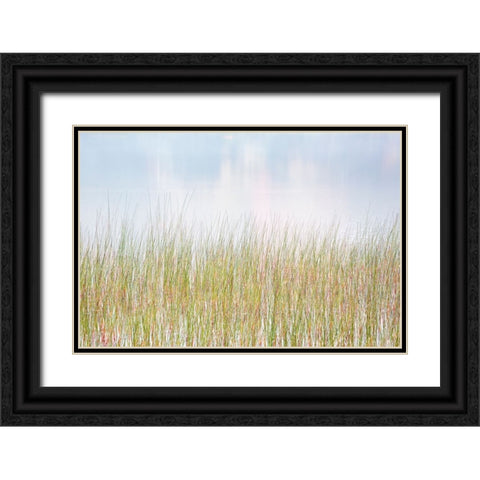 USA-New York-Adirondacks Long Lake-reeds-fog-and reflected fall color at Eaton Lake Black Ornate Wood Framed Art Print with Double Matting by Collins, Ann