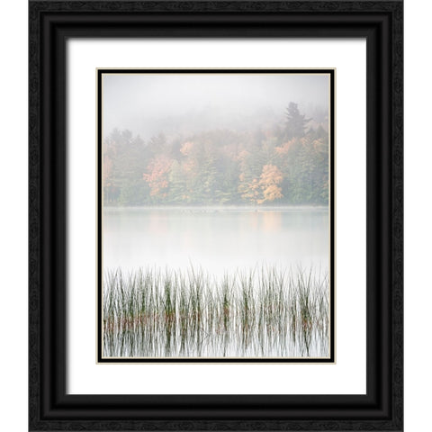 USA-New York-Adirondacks Long Lake-reeds-fog-and fall foliage at Eaton Lake Black Ornate Wood Framed Art Print with Double Matting by Collins, Ann