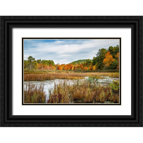 USA-New York-Adirondacks Bolton Landing-forest preserve marsh near Lake George Black Ornate Wood Framed Art Print with Double Matting by Collins, Ann