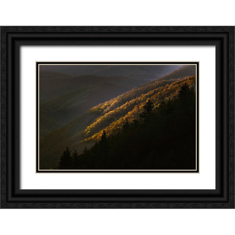 First light morning on early spring trees-Oconaluftee Valley-Great Smoky Mountains National Park Black Ornate Wood Framed Art Print with Double Matting by Jones, Adam