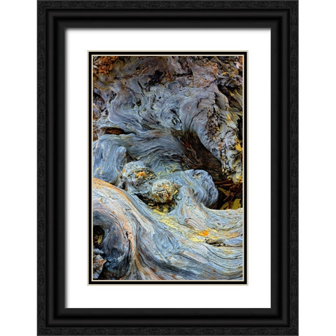Abstract pattern in driftwood-Bandon Beach-Oregon Black Ornate Wood Framed Art Print with Double Matting by Jones, Adam