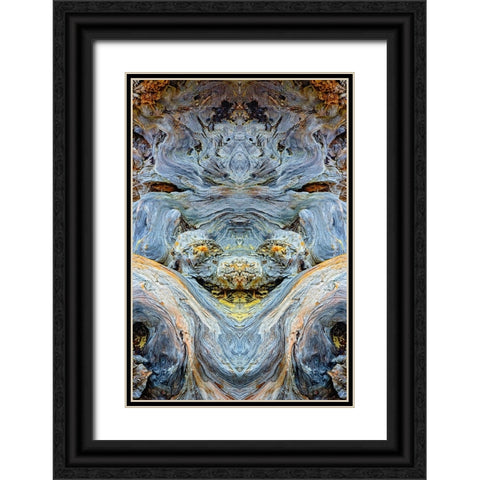 Abstract pattern in driftwood-Bandon Beach-Oregon Black Ornate Wood Framed Art Print with Double Matting by Jones, Adam