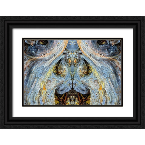 Abstract pattern in driftwood-Bandon Beach-Oregon Black Ornate Wood Framed Art Print with Double Matting by Jones, Adam