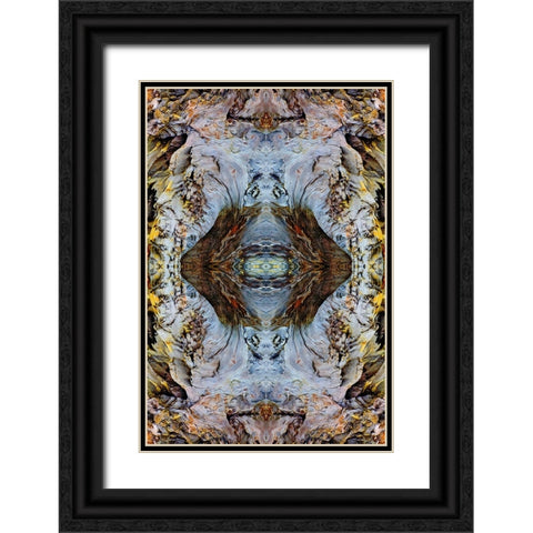 Abstract pattern in driftwood-Bandon Beach-Oregon Black Ornate Wood Framed Art Print with Double Matting by Jones, Adam