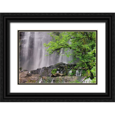Silver Falls-Golden and Silver Falls State Natural Area-Oregon Black Ornate Wood Framed Art Print with Double Matting by Jones, Adam
