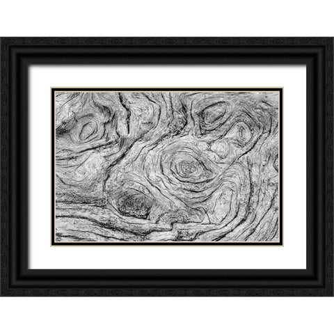 Geometric pattern in eroded driftwood-Bandon Beach-Oregon Black Ornate Wood Framed Art Print with Double Matting by Jones, Adam