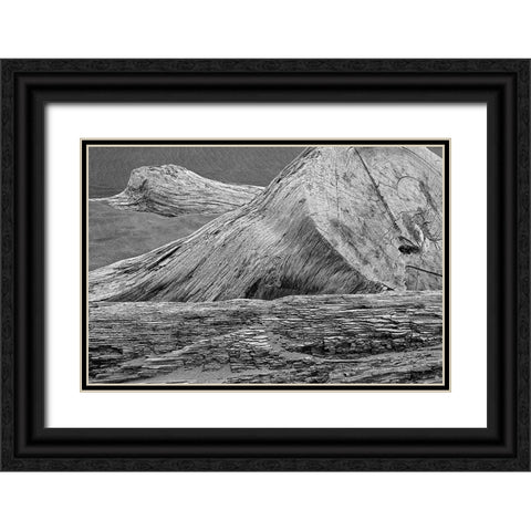 Eroded driftwood on beach-Bandon Beach-Oregon Black Ornate Wood Framed Art Print with Double Matting by Jones, Adam