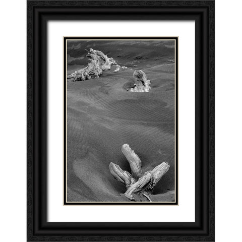 Eroded driftwood on beach-Bandon Beach-Oregon Black Ornate Wood Framed Art Print with Double Matting by Jones, Adam